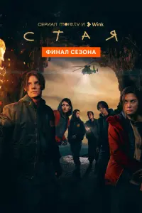 Стая смотреть онлайн в хорошем качестве