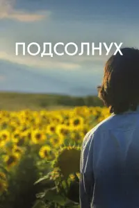 Смотреть  Подсолнух  